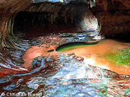 Subway of Left Fork , Zion National Park