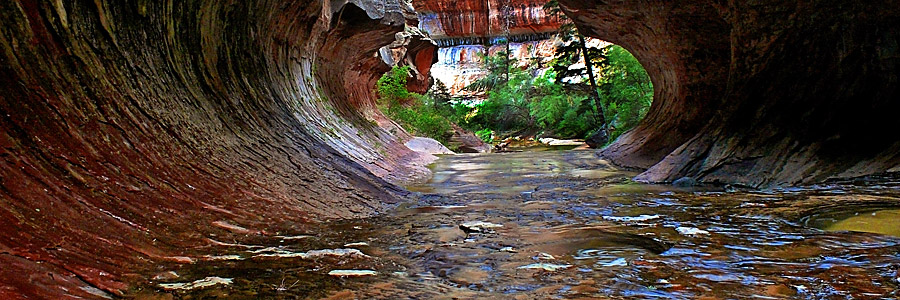 Subway of Left Fork , Zion National Park