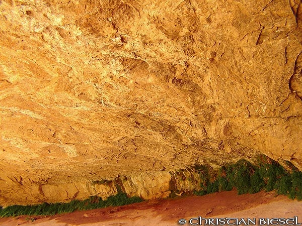 Golden Cave , Zion NP