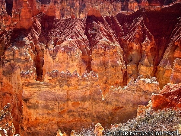 Bryce Canyon Close Up