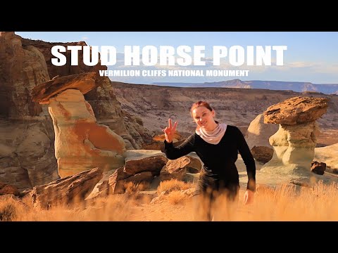 Stud Horse Point