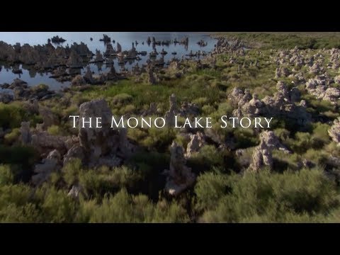 The Mono Lake Story