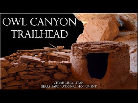 Owl Canyon Trailhead, Cedar Mesa, Utah. Bears Ears National Monument