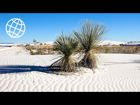 White Sands National Park, New Mexico, USA [Amazing Places 4K]