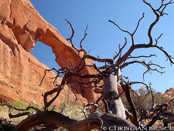 Skyline Arch , Arches National Park