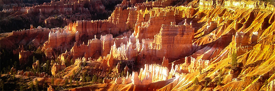 Bryce Canyon Hoodoos