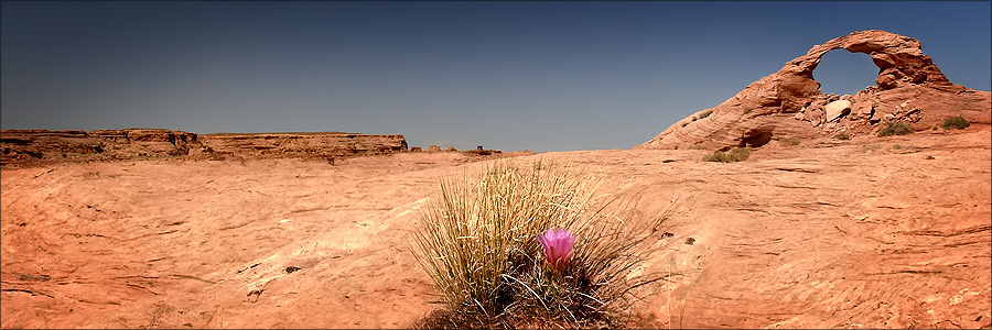 Arsenic Arch Gallery