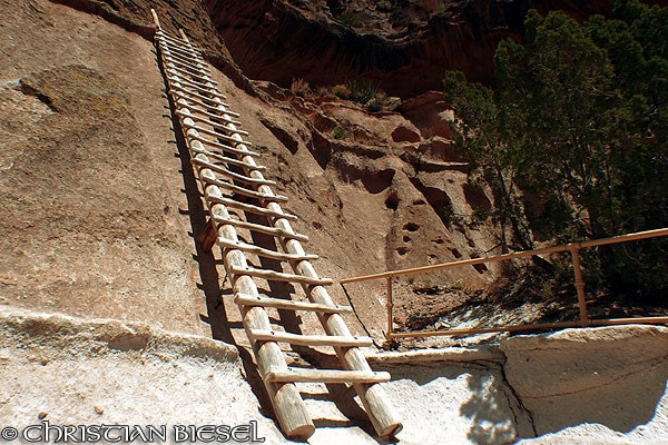 Ladder to a hidden kiva