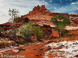 Capitol Reef National Park