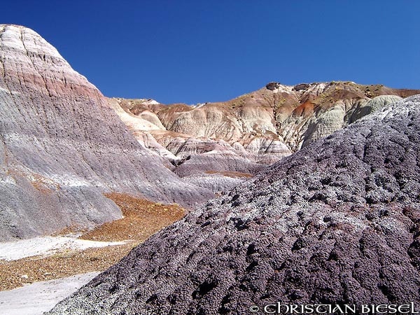 Colorful Badlands, Petrified Forest National Park