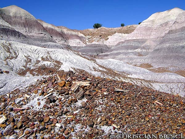 Badlands, Petrified Forest National Park