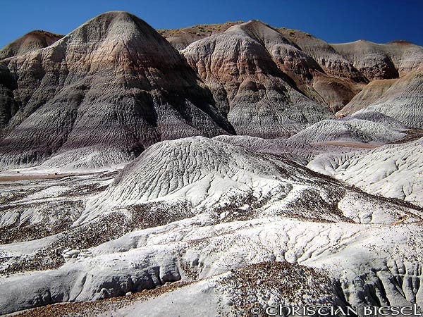 Badlands, Petrified Forest National Park