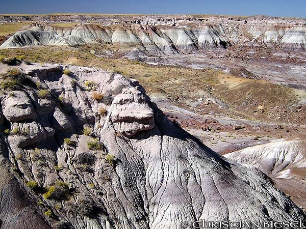 Badlands, Petrified Forest National Park