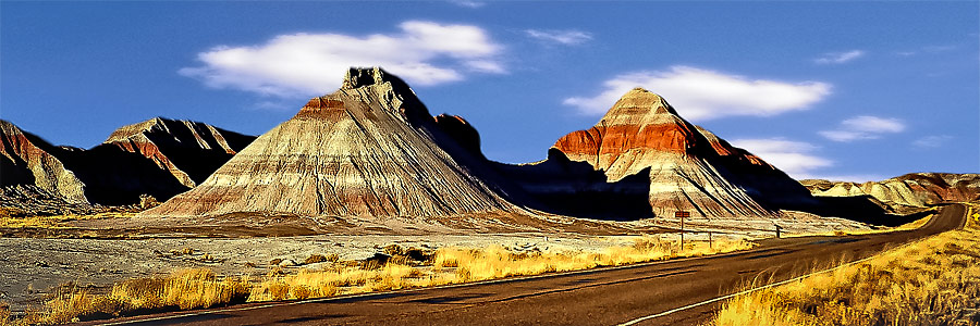 Petrified Forest National Park Badlands at sunset