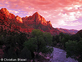 Watchman , Zion National Park