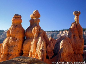 Hoodoos In Sunrise Light , Bryce Canyon