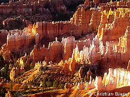 Bryce Canyon Hoodoos