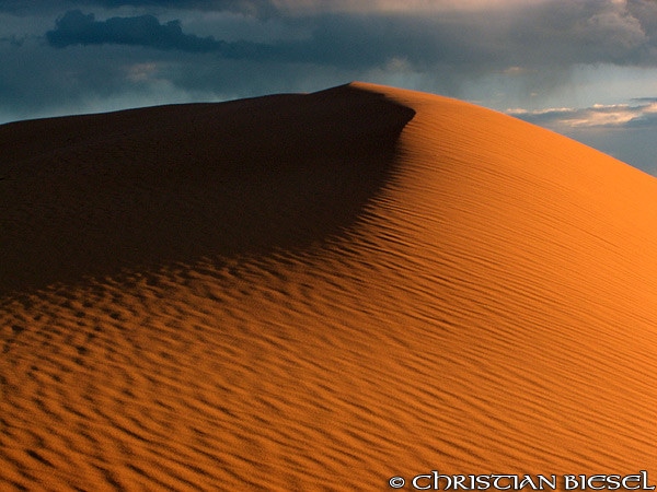 Great Dune ,Coral Pink Sand Dunes State Park , Utah