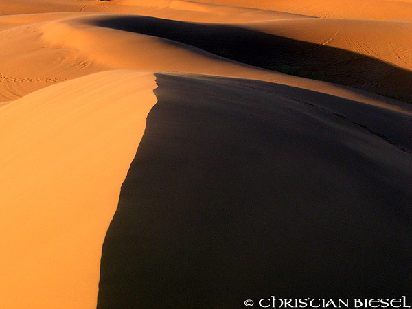 Big Dune ,Coral Pink Sand Dunes State Park , Utah