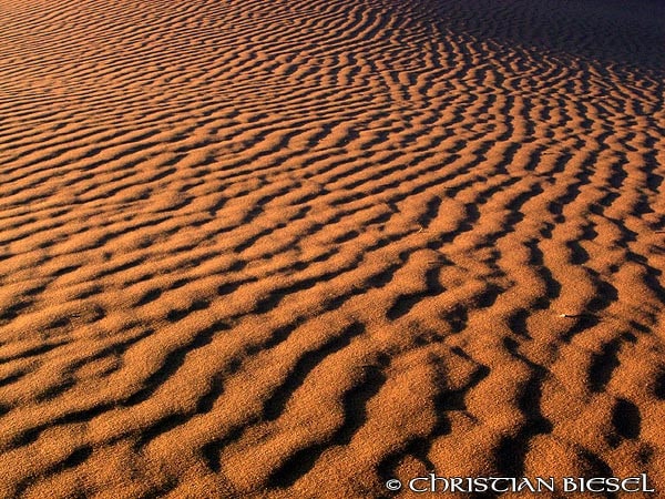 Sunset Ripples  ,Coral Pink Sand Dunes State Park , Utah