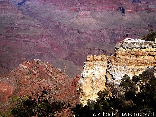 Grand Canyon View