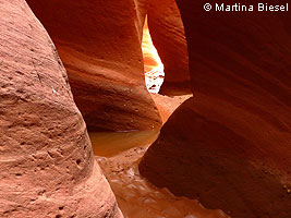 Red Cave Slot Canyon