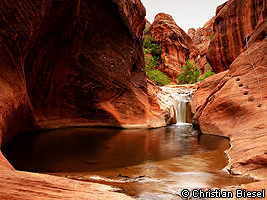 Red Cliffs Recreation Area , Water Canyon