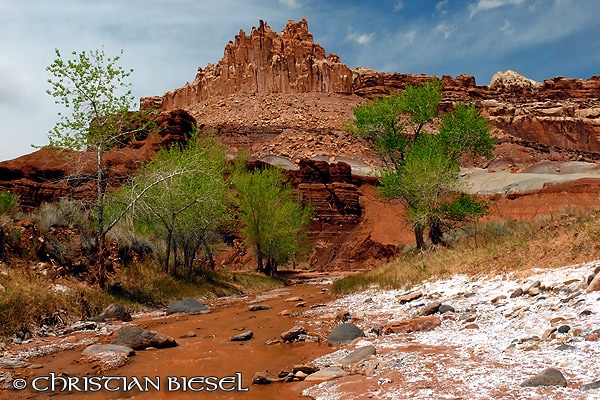 The Castle and Freemont River , Capitol Reef National Park