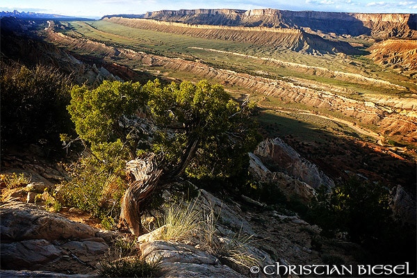 Waterpocked Fold from Strike Valley Overlook, view toward north