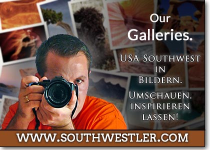 Zu den Galleries!