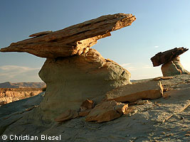 Stud Horse Point