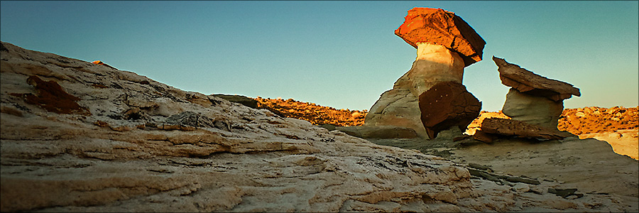 Stud Horse Point Gallery