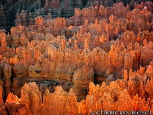 Bryce Canyon Pinnacles