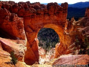 Bryce Canyon Natural Bridge