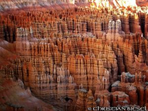 Hoodoos in the Amphitheater , Bryce Canyon