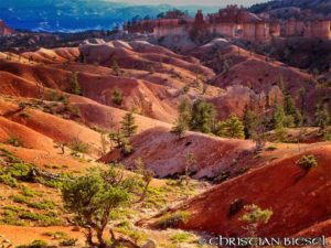 Sand and Hoodoos , Bryce Canyon National Park Utah