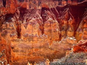 Bryce Canyon Close Up