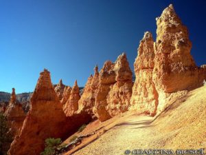 Bryce Canyon , Pinnacles Everywhere