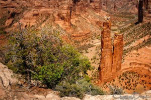 Spider Rock, Canyon de Chelly