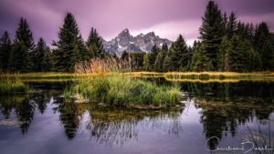 Schwabacher's Landing, Grand Teton National Park, Wyoming