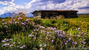 Cunningham Cabin Historic Site, Grand Teton National Park, Wyoming