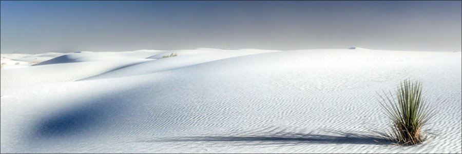 White Sands National Park,New Mexico