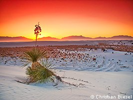 White Sands National Park,New Mexico