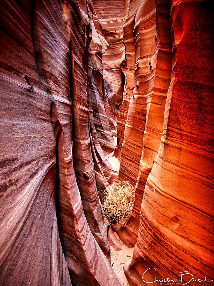 Zebra Slot Canyon and Tumbleweed