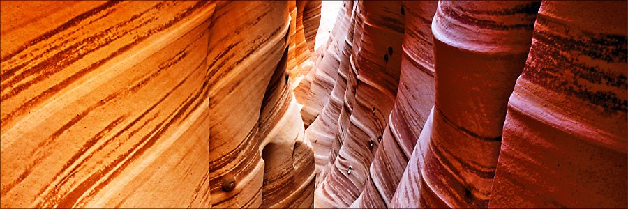 Zebra Slot Canyon Gallery