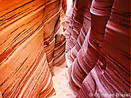 Zebra Slot Canyon in Utah