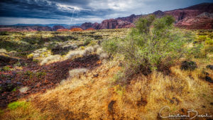 Snow Canyon State Park Flash