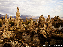 Mono Lake Tufa Natural State Reserve