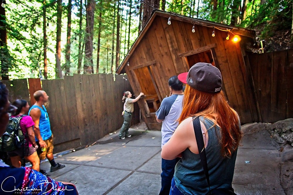 mystery spot tours