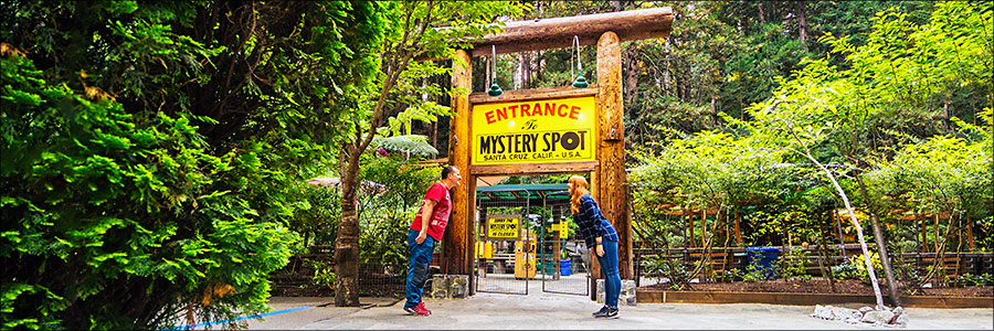 Mystery Spot near Santa Cruz, California